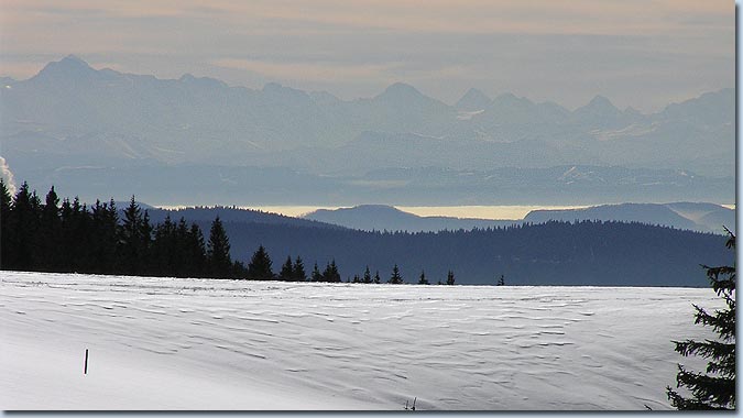galerie_bild