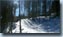 thumbnail galerie_bild_8