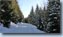 thumbnail galerie_bild_7
