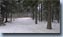 thumbnail galerie_bild_1