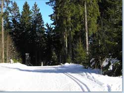 Drescherspur/Hohtann