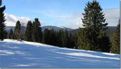 Rotmeerloipe II/Feldberg-Altglashütten