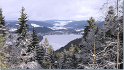 Rotmeerloipe I/Feldberg-Altglashütten