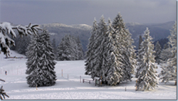 Freestylerunde/Feldberg-Ort