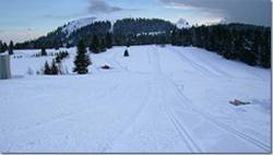 Herzogenhornloipe/Feldberg-Ort