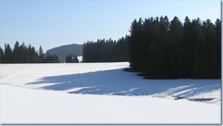 Bild Loipe - Furtwangen/Martinskapelle