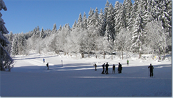 Bild Loipe - Furtwangen/Martinskapelle