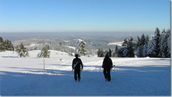 Bild Loipe - Furtwangen/Martinskapelle