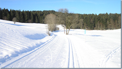 Bild Loipe - Herrischried/Hotzenwald