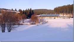 Bild Loipe - Schluchsee