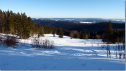 Bild Loipe - Kandel-Waldkirch