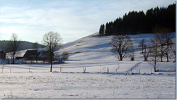 Bild Loipe - Titisee-Neustadt