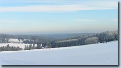 Bild Loipe - Titisee-Neustadt