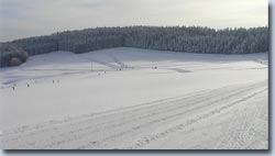 Bild Loipe - Titisee-Neustadt