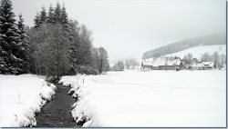 Bild Loipe - Titisee-Neustadt