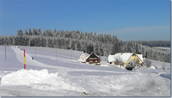 Bild Loipe - Titisee-Neustadt