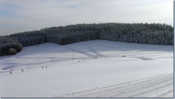 Bild Loipe - Titisee-Neustadt