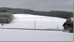 Bild Loipe - Titisee-Neustadt