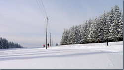 Bild Loipe - Titisee-Neustadt