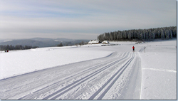 Bild Loipe - Titisee-Neustadt