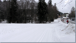 Bild Loipe - Titisee-Neustadt