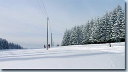 Bild Loipe - Titisee-Neustadt