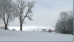 Bild Loipe - Titisee-Neustadt