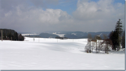 Bild Loipe - Triberg