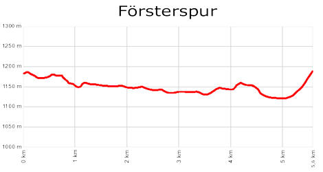 Profil Foersterspur/Hohtann