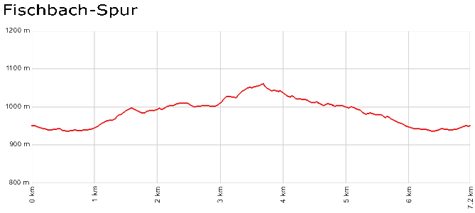 Profil Fischbach-Spur - Schluchsee