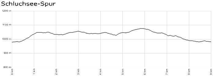 Profil Schluchsee-Spur - Schluchsee