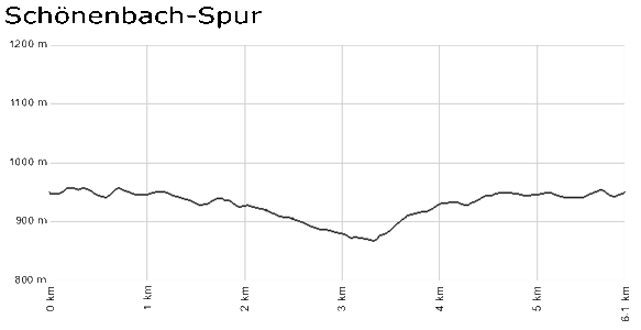 Profil Schoenenbach-Spur - Schluchsee