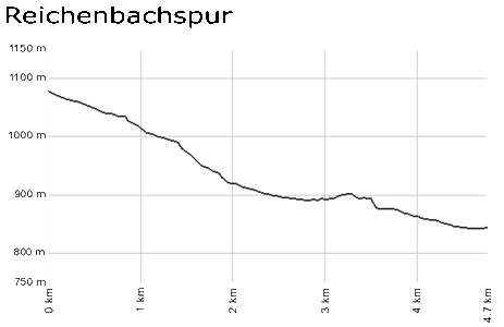 Profil Reichenbachspur - Tititsee-Neustadt